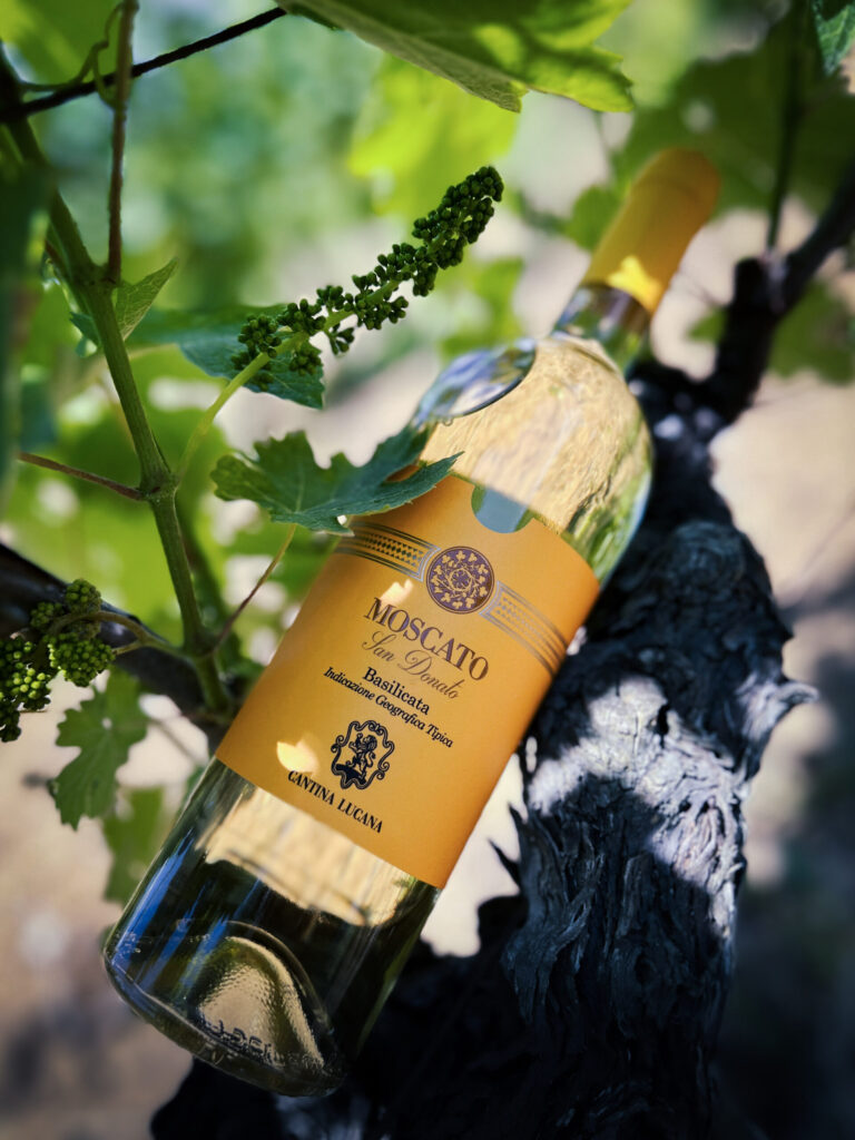 moscato sss